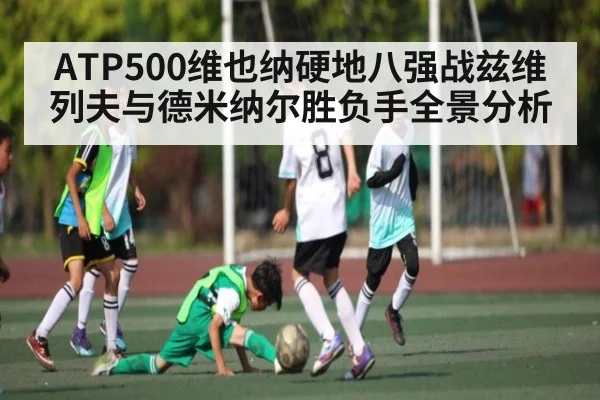 ATP500维也纳硬地八强战兹维列夫与德米纳尔胜负手全景分析